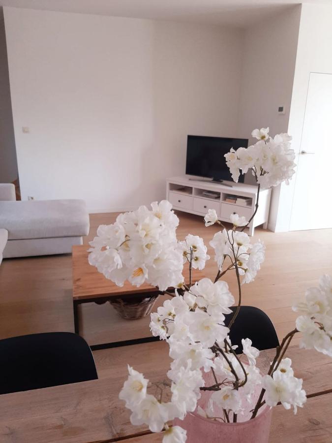 Luxe Duplex Appartement Mavi Gistel Zewnętrze zdjęcie